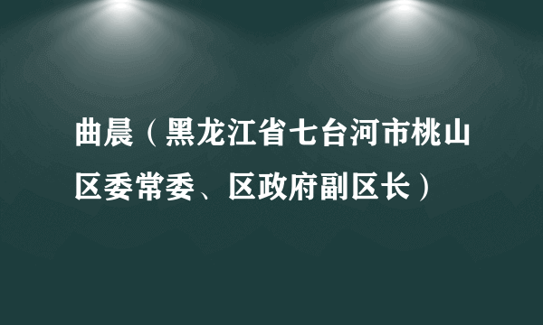 曲晨（黑龙江省七台河市桃山区委常委、区政府副区长）