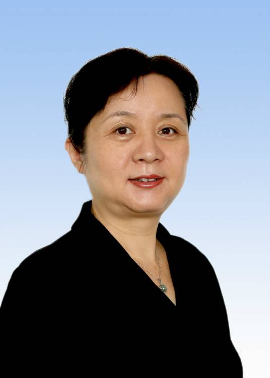 陈莉（天津工业大学原副校长）