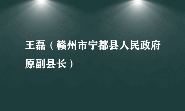 王磊（赣州市宁都县人民政府原副县长）