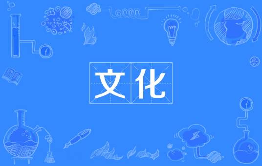 文化（精神财富的总和）
