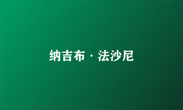 纳吉布·法沙尼