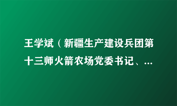 王学斌（新疆生产建设兵团第十三师火箭农场党委书记、政委，一级调研员）