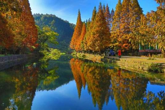 将乐龙栖山自然保护区