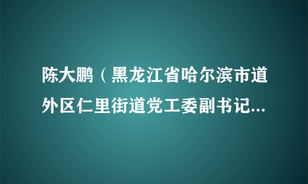 陈大鹏（黑龙江省哈尔滨市道外区仁里街道党工委副书记、办事处主任）