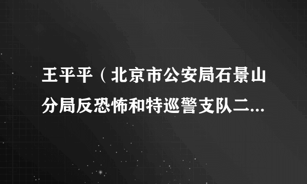 王平平（北京市公安局石景山分局反恐怖和特巡警支队二级警长）