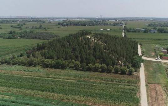 献陵（唐高祖和太穆皇后的陵寝）