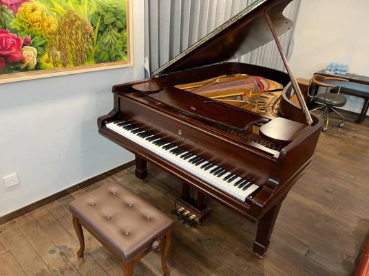 钢琴（西洋古典音乐中的一种键盘乐器）