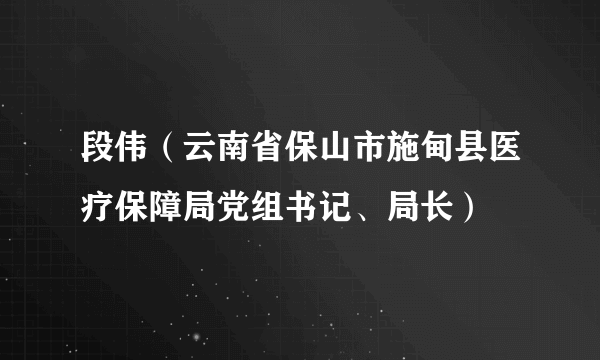 段伟（云南省保山市施甸县医疗保障局党组书记、局长）