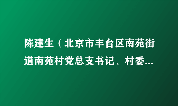 陈建生（北京市丰台区南苑街道南苑村党总支书记、村委会主任，北京中恒金苑投资管理公司董事长）