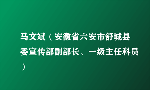 马文斌（安徽省六安市舒城县委宣传部副部长、一级主任科员）