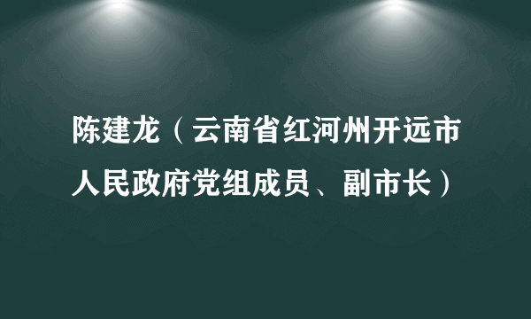 陈建龙（云南省红河州开远市人民政府党组成员、副市长）