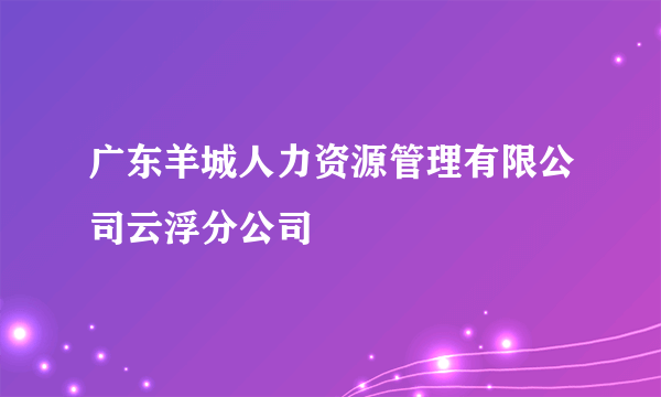 广东羊城人力资源管理有限公司云浮分公司