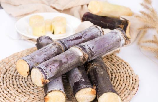 甘蔗（禾本科甘蔗属植物）