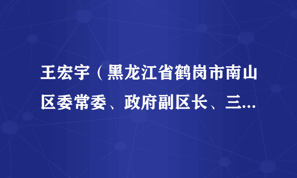 王宏宇（黑龙江省鹤岗市南山区委常委、政府副区长、三级调研员）