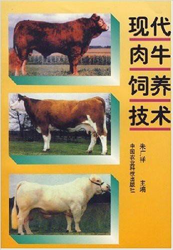 现代肉牛饲养技术