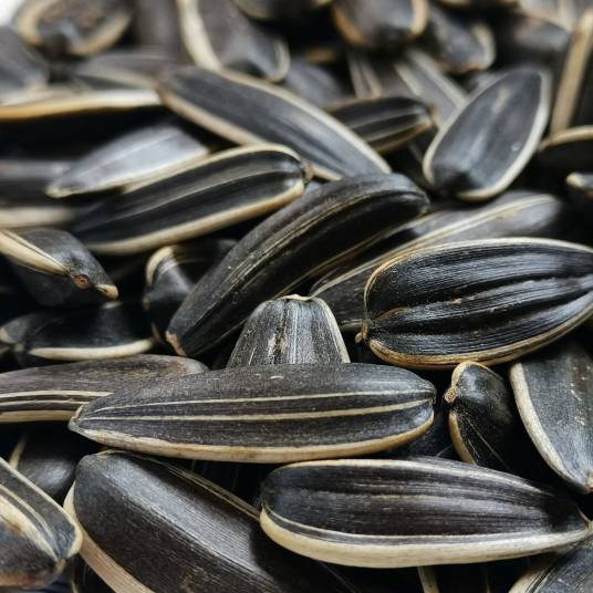 瓜子（休闲食品零食）