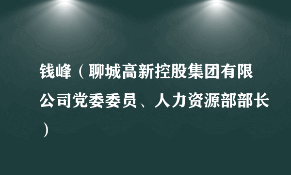 钱峰（聊城高新控股集团有限公司党委委员、人力资源部部长）