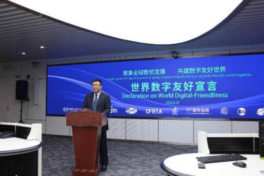 杨勇(中国世界贸易组织研究会数字经济和数字贸易专业委员会主任)