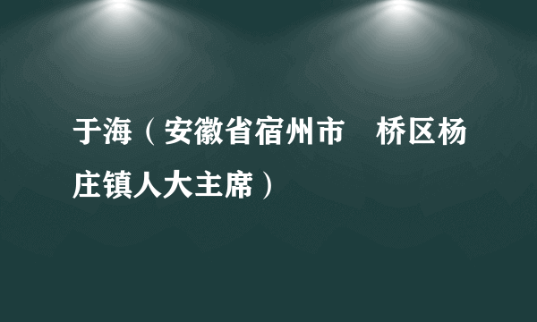 于海（安徽省宿州市埇桥区杨庄镇人大主席）