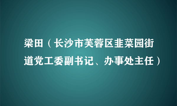 梁田（长沙市芙蓉区韭菜园街道党工委副书记、办事处主任）