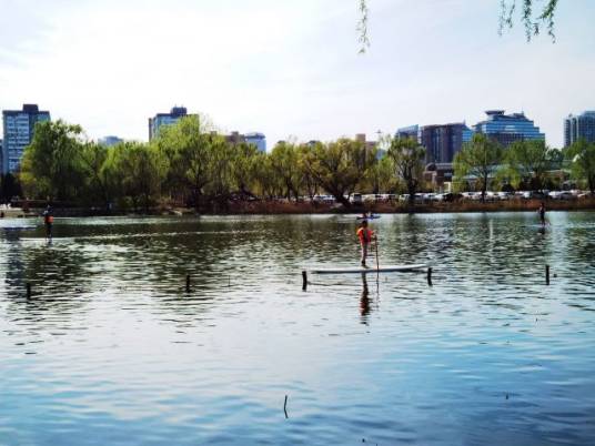 朝阳公园WhaleSports水上运动俱乐部