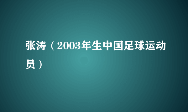 张涛（2003年生中国足球运动员）