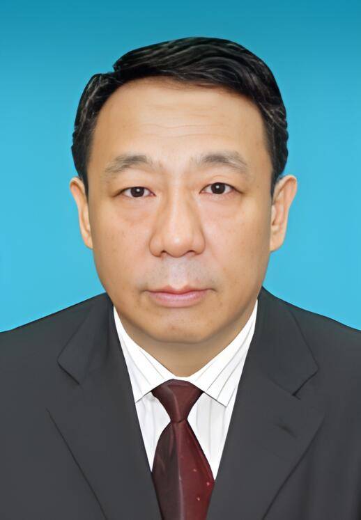 杨力（新疆维吾尔自治区人民政府国有资产监督管理委员会党委委员，自治区纪委监委驻国资委纪检监察组组长）