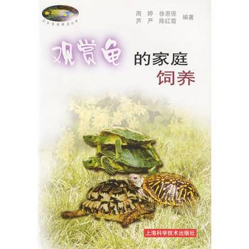 观赏龟的家庭饲养
