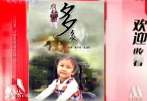 多多（2006年宋方金执导的剧情电影）