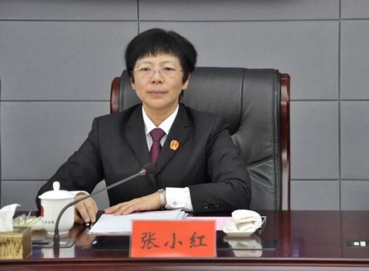 张小红（安徽省高级人民法院审判委员会专职委员）