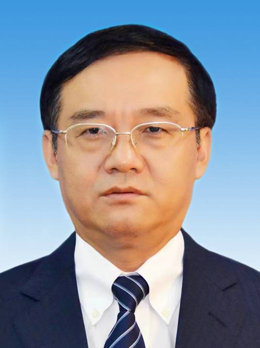 段向东（第十四届全国政协委员，中国铝业集团有限公司董事长、党组书记）