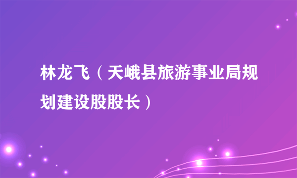 林龙飞（天峨县旅游事业局规划建设股股长）