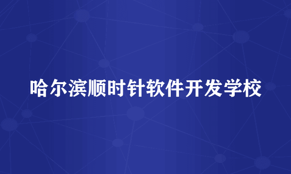 哈尔滨顺时针软件开发学校