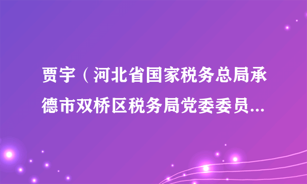贾宇（河北省国家税务总局承德市双桥区税务局党委委员、副局长、二级主办）