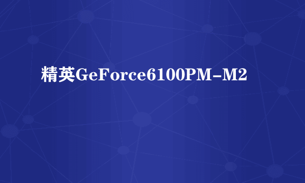 精英GeForce6100PM-M2