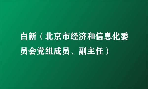 白新（北京市经济和信息化委员会党组成员、副主任）