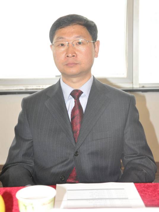 王国强（吉林大学机械与航空航天工程学院教授）