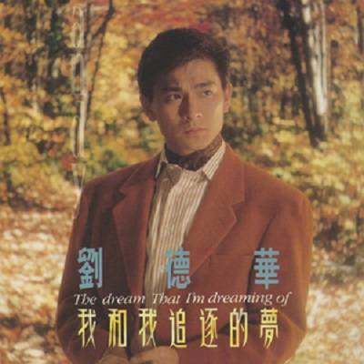 痴情岁月（1991年刘德华演唱的歌曲）