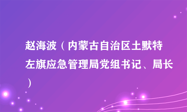 赵海波（内蒙古自治区土默特左旗应急管理局党组书记、局长）