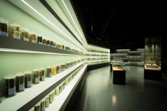 甘肃中医药大学博物馆