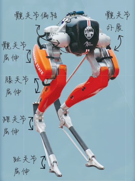 凯西（美国俄勒冈州立大设计的双足机器人）