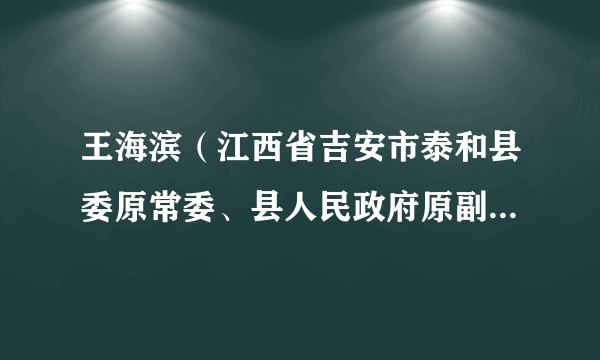 王海滨（江西省吉安市泰和县委原常委、县人民政府原副县长（挂职））