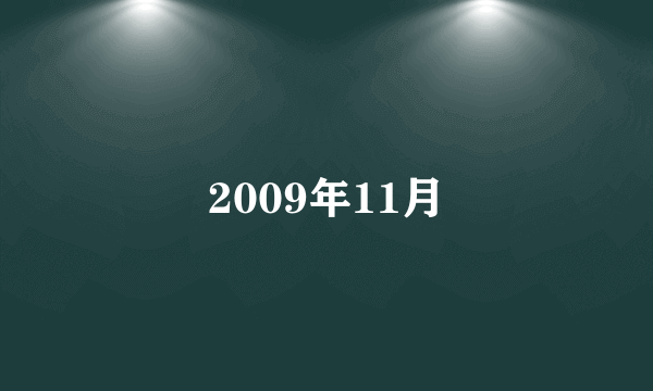 2009年11月
