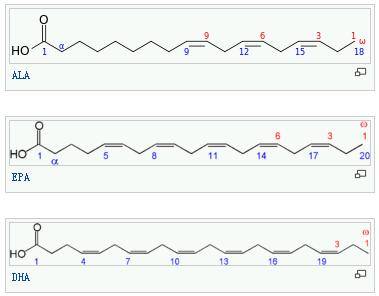 单不饱和脂肪酸