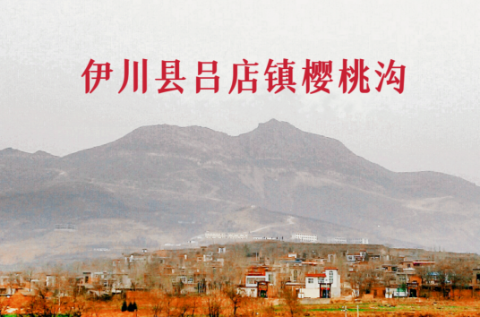 樱桃沟村(河南省洛阳市伊川县吕店镇樱桃沟村)
