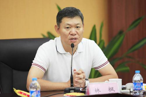 林枫(国家税务总局稽查局副局长)