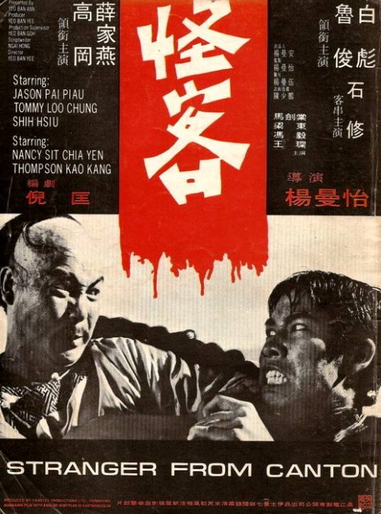 怪客（1973年杨曼怡执导的电影）