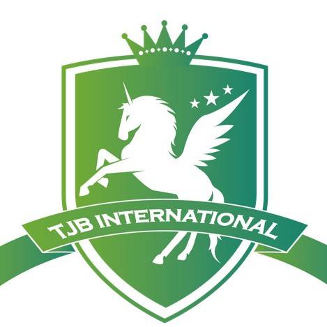 上海田家炳中学国际部