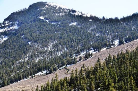 贺兰山国家狩猎场