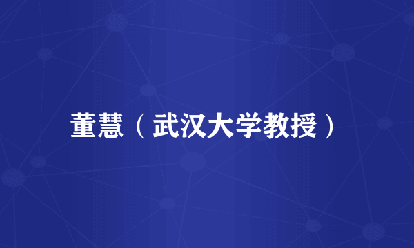 董慧(武汉大学教授)